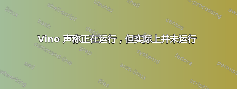 Vino 声称正在运行，但实际上并未运行