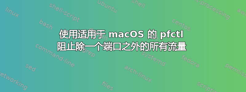 使用适用于 macOS 的 pfctl 阻止除一个端口之外的所有流量