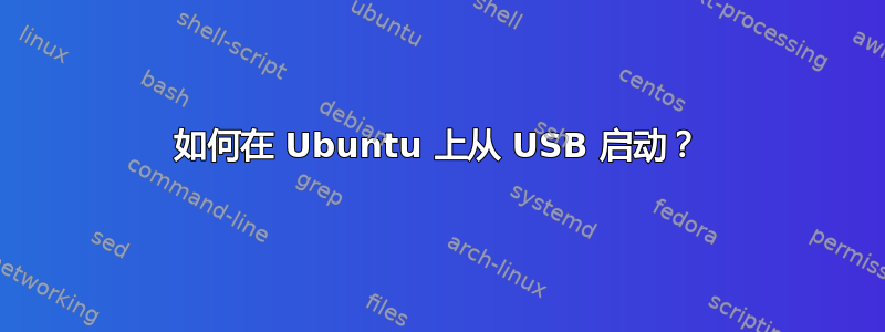 如何在 Ubuntu 上从 USB 启动？