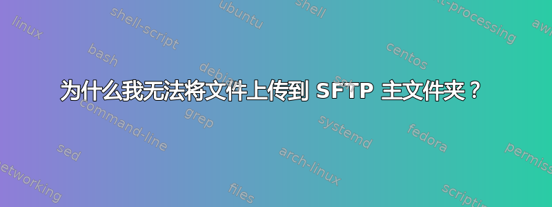 为什么我无法将文件上传到 SFTP 主文件夹？