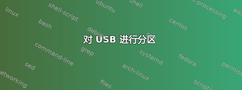 对 USB 进行分区