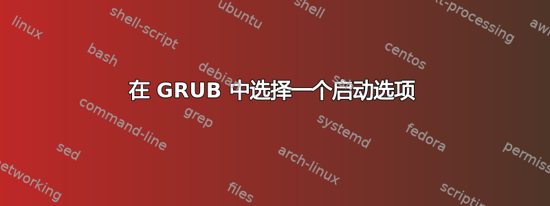 在 GRUB 中选择一个启动选项