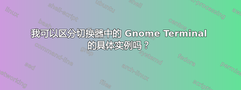 我可以区分切换器中的 Gnome Terminal 的具体实例吗？