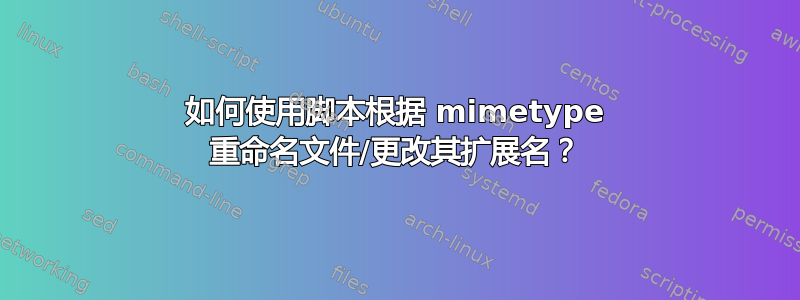 如何使用脚本根据 mimetype 重命名文件/更改其扩展名？