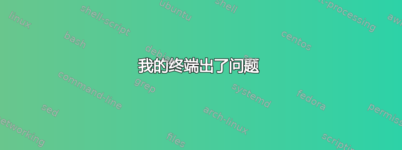 我的终端出了问题