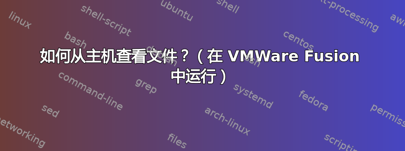 如何从主机查看文件？（在 VMWare Fusion 中运行）