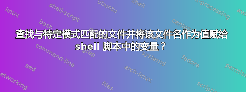 查找与特定模式匹配的文件并将该文件名作为值赋给 shell 脚本中的变量？