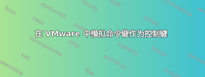 在 VMware 中模拟命令键作为控制键