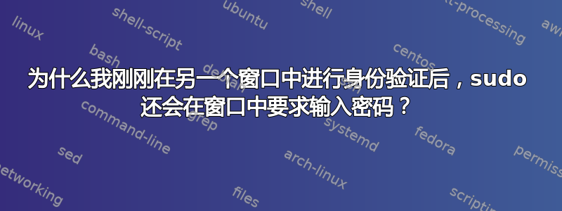 为什么我刚刚在另一个窗口中进行身份验证后，sudo 还会在窗口中要求输入密码？