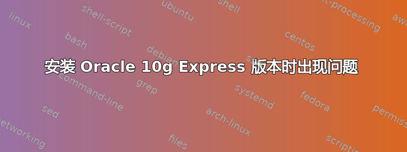 安装 Oracle 10g Express 版本时出现问题