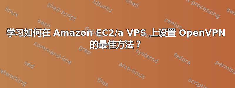 学习如何在 Amazon EC2/a VPS 上设置 OpenVPN 的最佳方法？