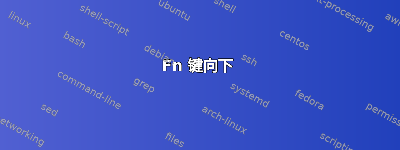 Fn 键向下