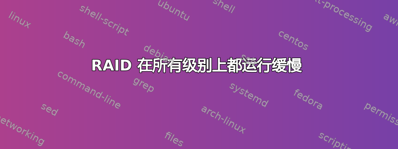 RAID 在所有级别上都运行缓慢