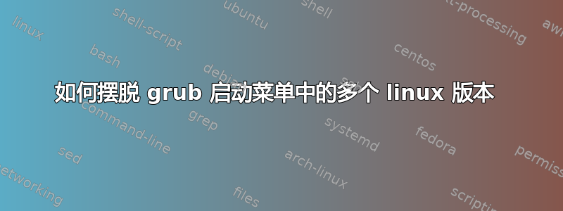 如何摆脱 grub 启动菜单中的多个 linux 版本 