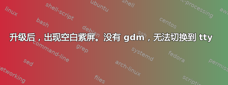 升级后，出现空白紫屏。没有 gdm，无法切换到 tty 