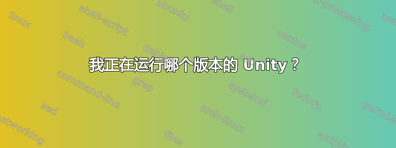 我正在运行哪个版本的 Unity？