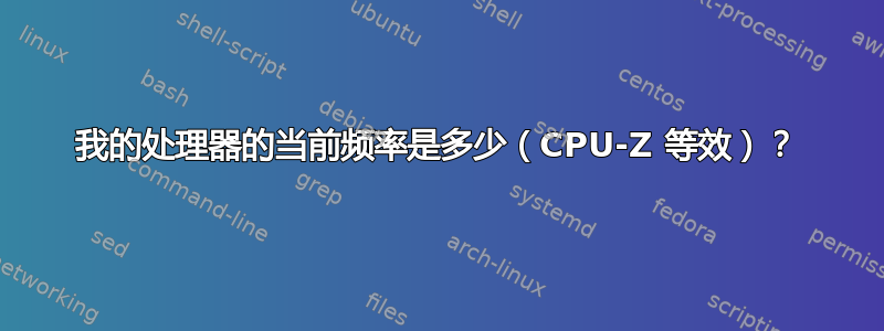 我的处理器的当前频率是多少（CPU-Z 等效）？