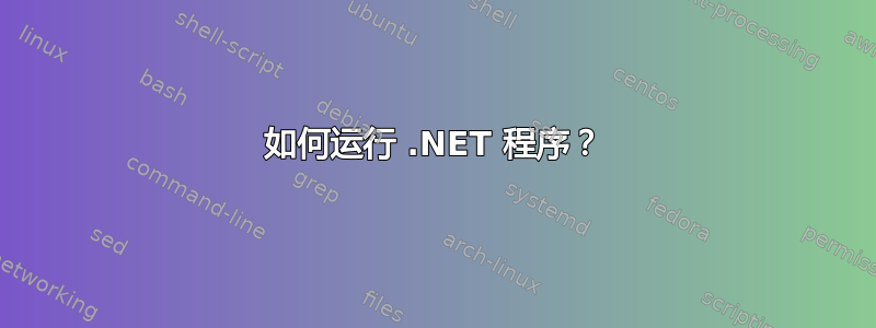 如何运行 .NET 程序？