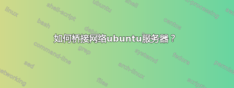 如何桥接网络ubuntu服务器？