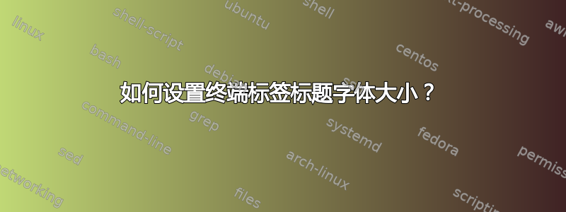 如何设置终端标签标题字体大小？