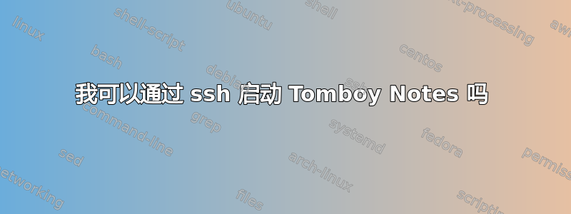 我可以通过 ssh 启动 Tomboy Notes 吗