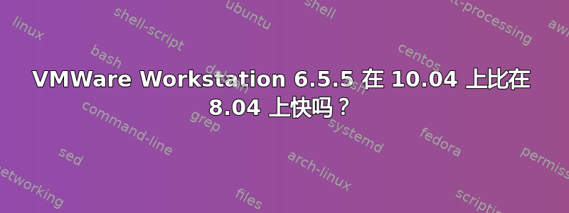 VMWare Workstation 6.5.5 在 10.04 上比在 8.04 上快吗？