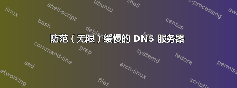 防范（无限）缓慢的 DNS 服务器