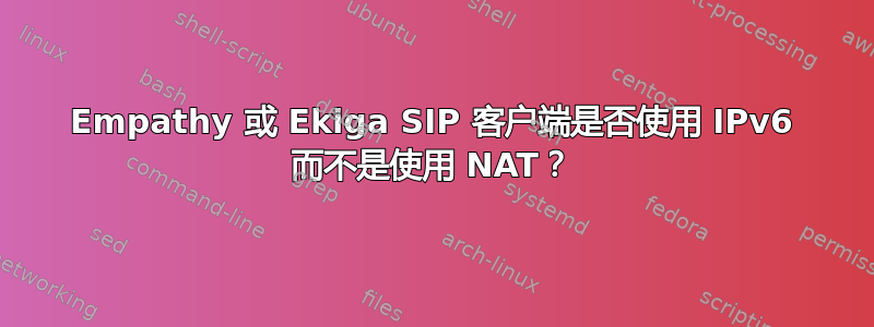 Empathy 或 Ekiga SIP 客户端是否使用 IPv6 而不是使用 NAT？