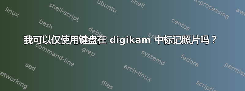 我可以仅使用键盘在 digikam 中标记照片吗？