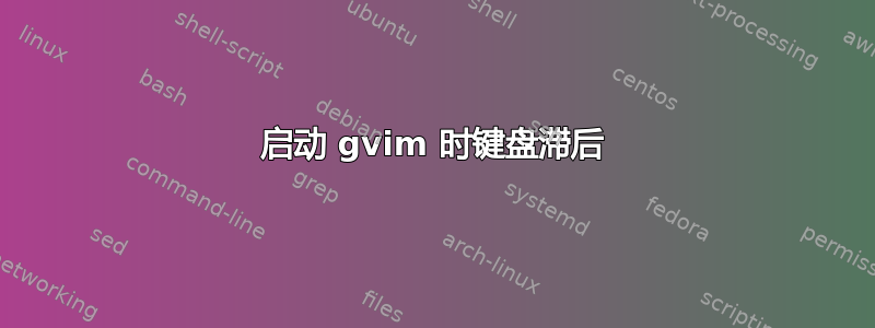 启动 gvim 时键盘滞后