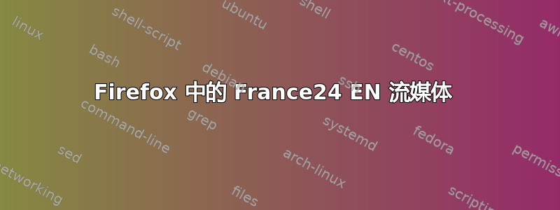 Firefox 中的 France24 EN 流媒体 