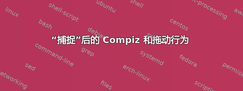 “捕捉”后的 Compiz 和拖动行为