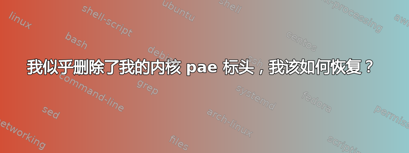 我似乎删除了我的内核 pae 标头，我该如何恢复？