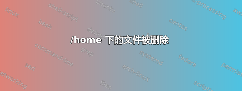 /home 下的文件被删除