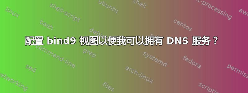 配置 bind9 视图以便我可以拥有 DNS 服务？