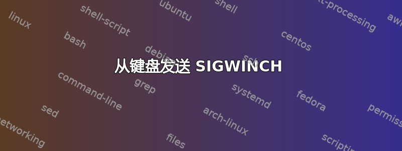 从键盘发送 SIGWINCH