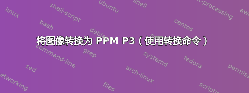 将图像转换为 PPM P3（使用转换命令）