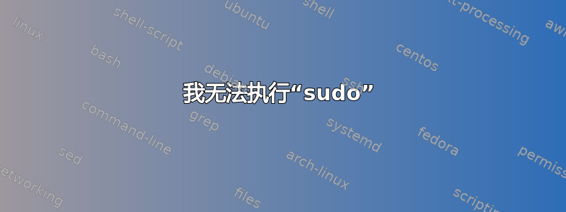 我无法执行“sudo”