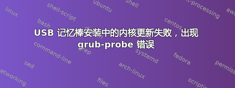 USB 记忆棒安装中的内核更新失败，出现 grub-probe 错误