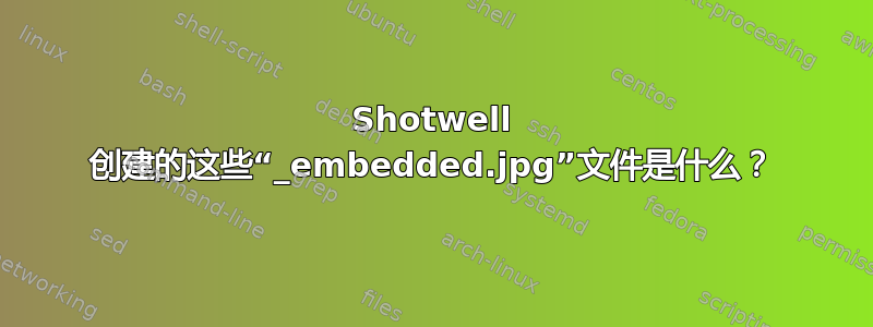 Shotwell 创建的这些“_embedded.jpg”文件是什么？