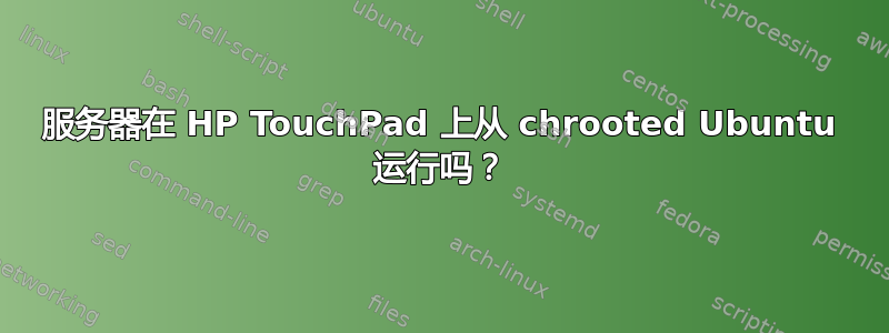 服务器在 HP TouchPad 上从 chrooted Ubuntu 运行吗？