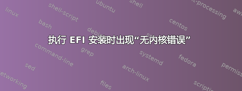 执行 EFI 安装时出现“无内核错误”