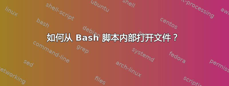 如何从 Bash 脚本内部打开文件？