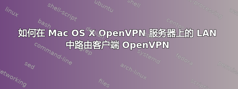 如何在 Mac OS X OpenVPN 服务器上的 LAN 中路由客户端 OpenVPN