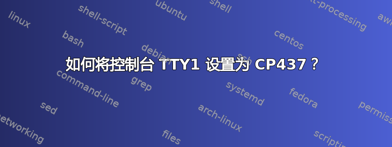 如何将控制台 TTY1 设置为 CP437？