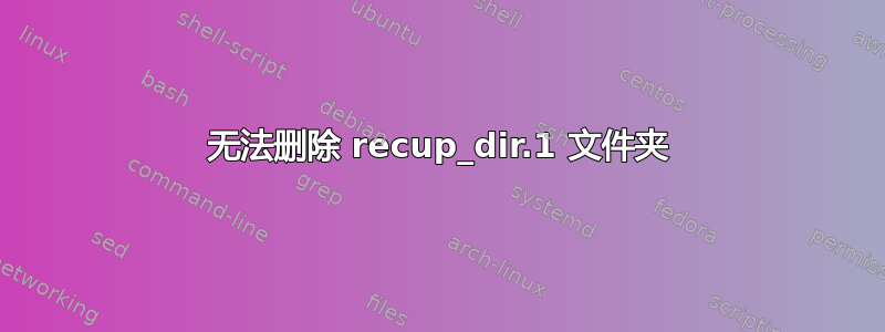 无法删除 recup_dir.1 文件夹