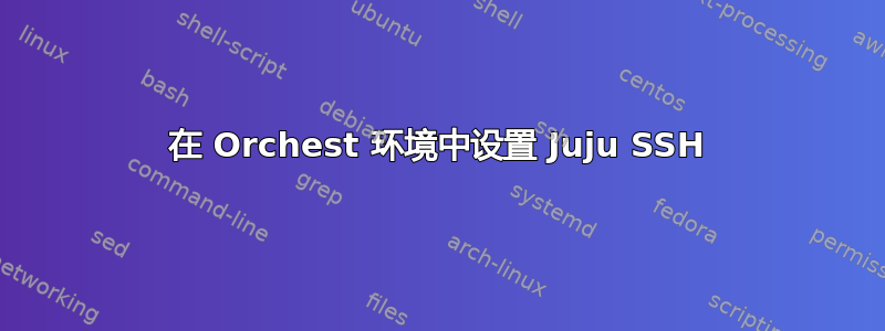 在 Orchest 环境中设置 Juju SSH