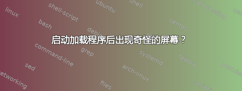 启动加载程序后出现奇怪的屏幕？