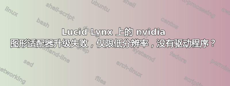 Lucid Lynx 上的 nvidia 图形适配器升级失败，仅限低分辨率，没有驱动程序？