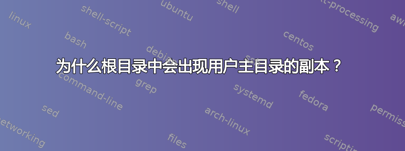 为什么根目录中会出现用户主目录的副本？